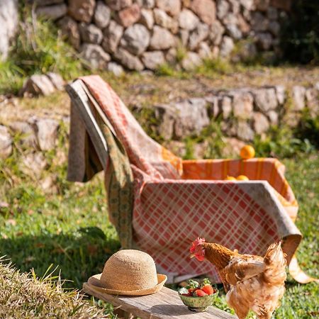 Agroturismo Son Viscos Valldemossa  Zewnętrze zdjęcie