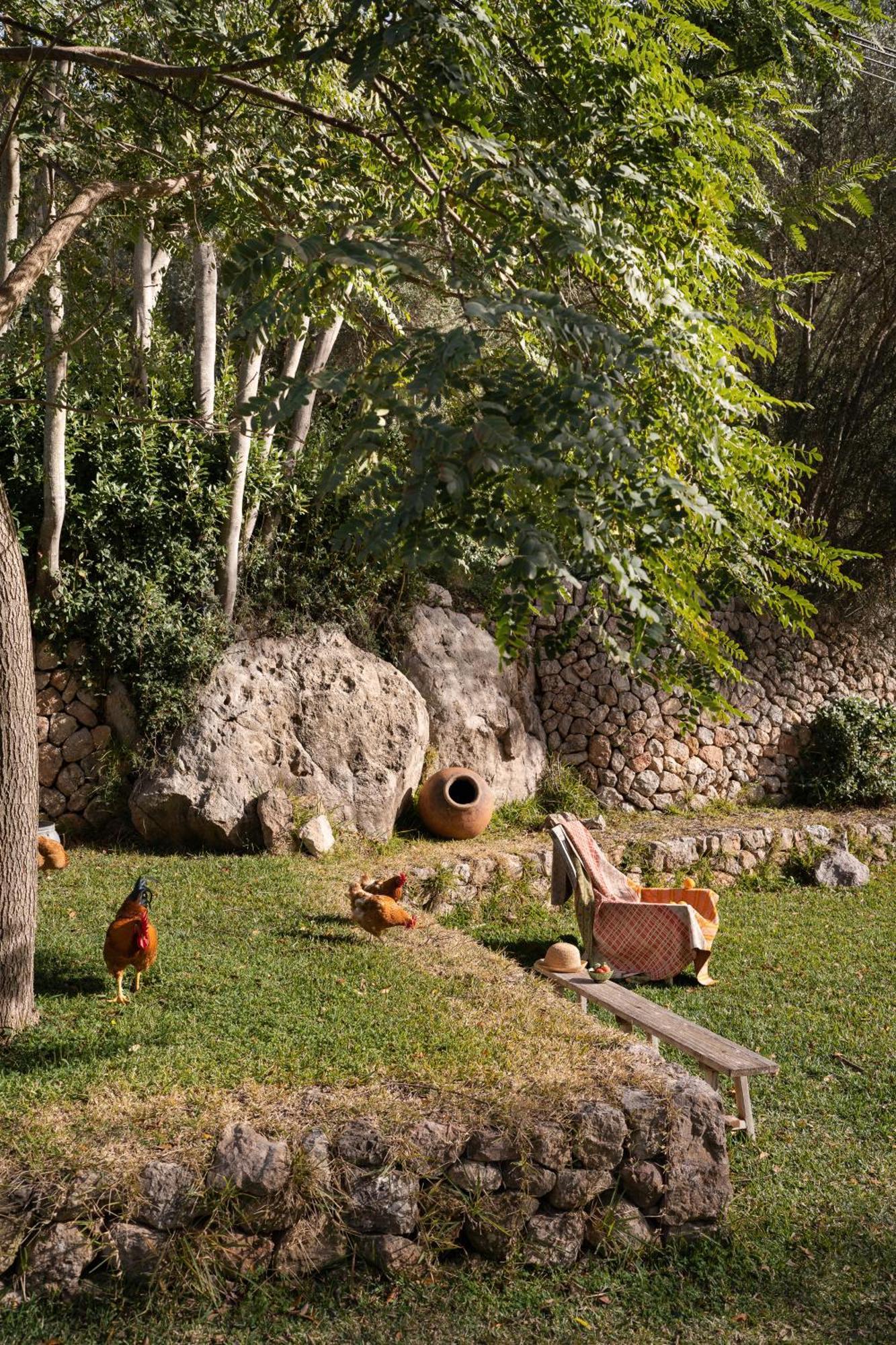 Agroturismo Son Viscos Valldemossa  Zewnętrze zdjęcie